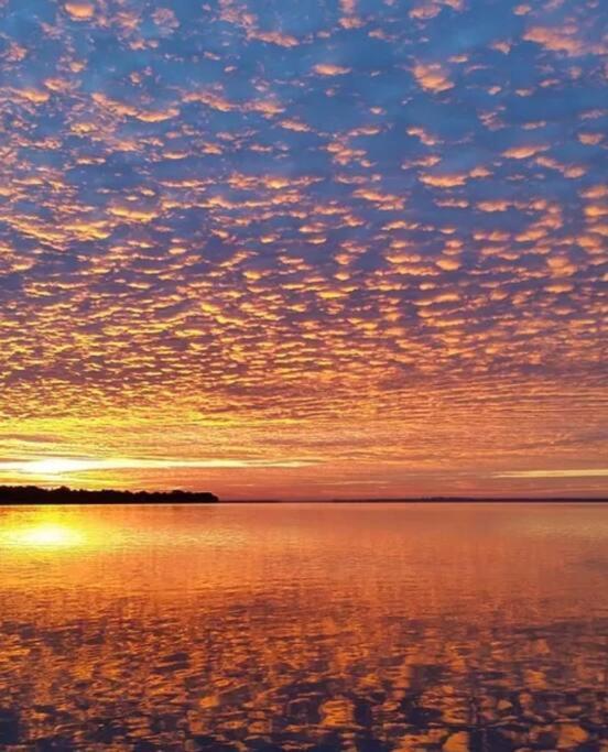 Paradise On Lake Harris Apt #202 Leesburg Exteriör bild